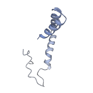 5520_3j27_D_v1-3
CryoEM structure of Dengue virus