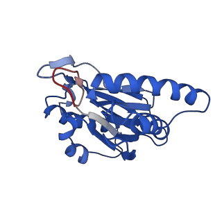 9771_6j2q_1_v1-1
Yeast proteasome in Ub-accepted state (C1-b)