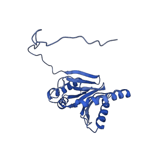 9771_6j2q_2_v1-1
Yeast proteasome in Ub-accepted state (C1-b)