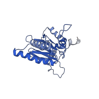 9771_6j2q_A_v1-1
Yeast proteasome in Ub-accepted state (C1-b)