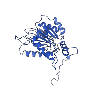 9771_6j2q_B_v1-1
Yeast proteasome in Ub-accepted state (C1-b)