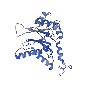 9771_6j2q_C_v1-1
Yeast proteasome in Ub-accepted state (C1-b)