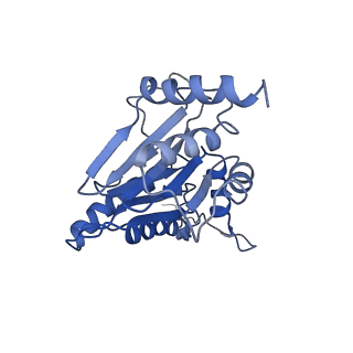 9771_6j2q_D_v1-1
Yeast proteasome in Ub-accepted state (C1-b)