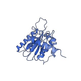 9771_6j2q_E_v1-1
Yeast proteasome in Ub-accepted state (C1-b)