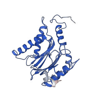 9771_6j2q_F_v1-1
Yeast proteasome in Ub-accepted state (C1-b)