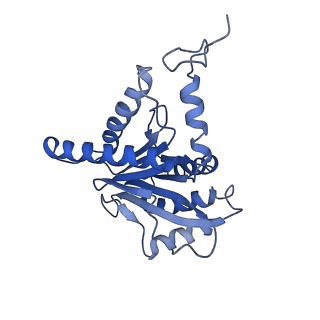 9771_6j2q_G_v1-1
Yeast proteasome in Ub-accepted state (C1-b)