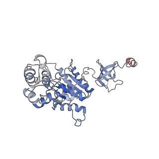 9771_6j2q_H_v1-1
Yeast proteasome in Ub-accepted state (C1-b)