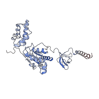 9771_6j2q_I_v1-1
Yeast proteasome in Ub-accepted state (C1-b)