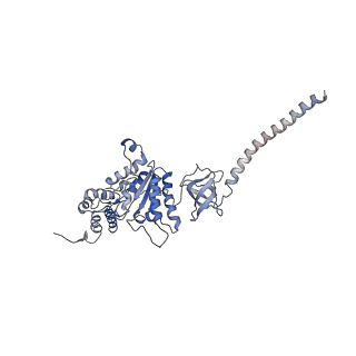 9771_6j2q_K_v1-1
Yeast proteasome in Ub-accepted state (C1-b)