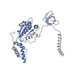 9771_6j2q_L_v1-1
Yeast proteasome in Ub-accepted state (C1-b)