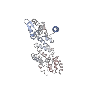 9771_6j2q_O_v1-1
Yeast proteasome in Ub-accepted state (C1-b)