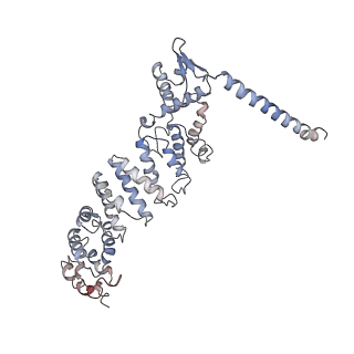 9771_6j2q_P_v1-1
Yeast proteasome in Ub-accepted state (C1-b)
