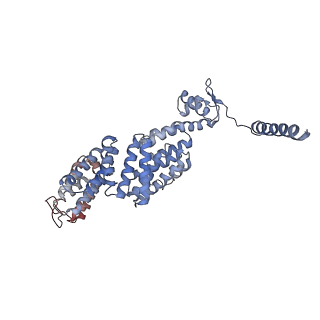 9771_6j2q_Q_v1-1
Yeast proteasome in Ub-accepted state (C1-b)