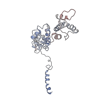 9771_6j2q_T_v1-1
Yeast proteasome in Ub-accepted state (C1-b)