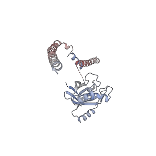 9771_6j2q_U_v1-1
Yeast proteasome in Ub-accepted state (C1-b)