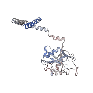 9771_6j2q_V_v1-1
Yeast proteasome in Ub-accepted state (C1-b)
