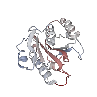 9771_6j2q_W_v1-1
Yeast proteasome in Ub-accepted state (C1-b)