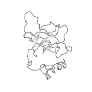 9771_6j2q_X_v1-1
Yeast proteasome in Ub-accepted state (C1-b)