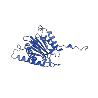 9771_6j2q_a_v1-1
Yeast proteasome in Ub-accepted state (C1-b)
