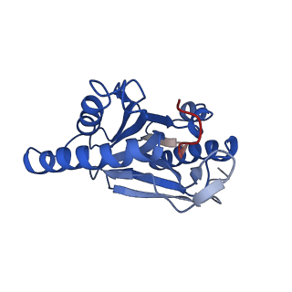 9771_6j2q_b_v1-1
Yeast proteasome in Ub-accepted state (C1-b)