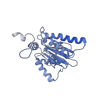 9771_6j2q_c_v1-1
Yeast proteasome in Ub-accepted state (C1-b)