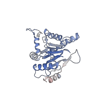 9771_6j2q_d_v1-1
Yeast proteasome in Ub-accepted state (C1-b)