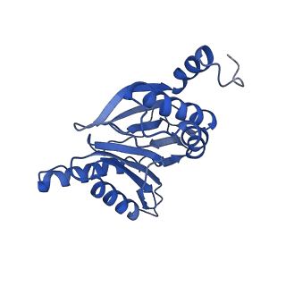 9771_6j2q_f_v1-1
Yeast proteasome in Ub-accepted state (C1-b)