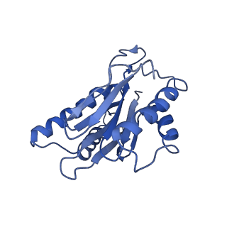 9771_6j2q_g_v1-1
Yeast proteasome in Ub-accepted state (C1-b)