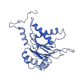 9771_6j2q_j_v1-1
Yeast proteasome in Ub-accepted state (C1-b)