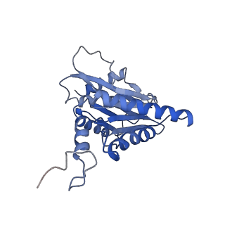 9771_6j2q_k_v1-1
Yeast proteasome in Ub-accepted state (C1-b)