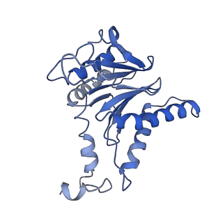 9771_6j2q_l_v1-1
Yeast proteasome in Ub-accepted state (C1-b)