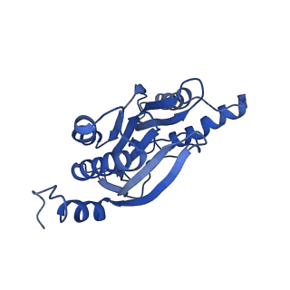 9772_6j2x_5_v1-2
Yeast proteasome in resting state (C1-a)