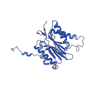 9772_6j2x_7_v1-2
Yeast proteasome in resting state (C1-a)