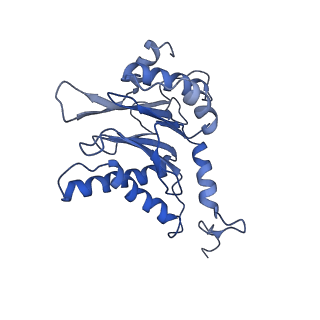9772_6j2x_C_v1-2
Yeast proteasome in resting state (C1-a)