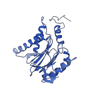 9772_6j2x_F_v1-2
Yeast proteasome in resting state (C1-a)