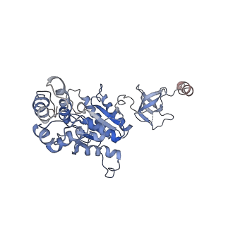 9772_6j2x_H_v1-2
Yeast proteasome in resting state (C1-a)