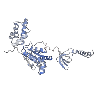 9772_6j2x_I_v1-2
Yeast proteasome in resting state (C1-a)