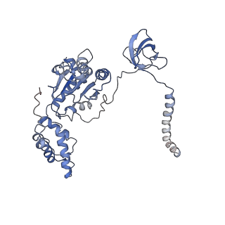 9772_6j2x_L_v1-2
Yeast proteasome in resting state (C1-a)