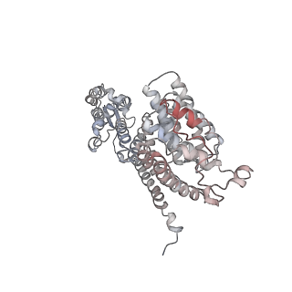 9772_6j2x_S_v1-2
Yeast proteasome in resting state (C1-a)