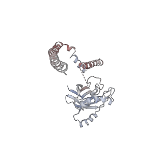 9772_6j2x_U_v1-2
Yeast proteasome in resting state (C1-a)