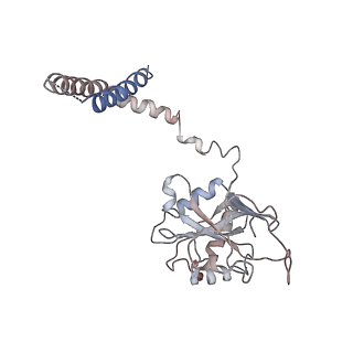 9772_6j2x_V_v1-2
Yeast proteasome in resting state (C1-a)