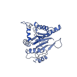 9772_6j2x_d_v1-2
Yeast proteasome in resting state (C1-a)
