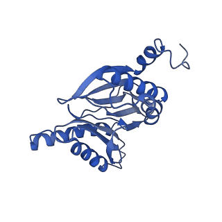 9772_6j2x_f_v1-2
Yeast proteasome in resting state (C1-a)