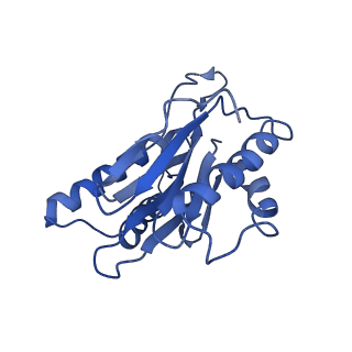 9772_6j2x_g_v1-2
Yeast proteasome in resting state (C1-a)