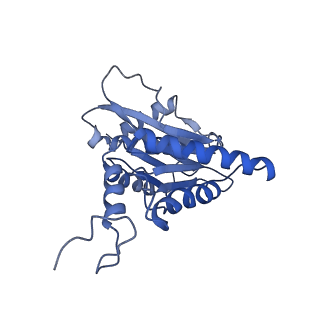 9772_6j2x_k_v1-2
Yeast proteasome in resting state (C1-a)