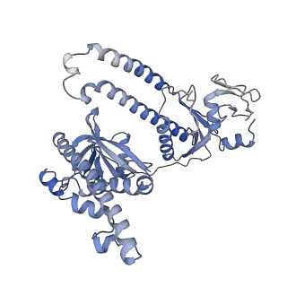 35965_8j3r_A_v1-0
Cryo-EM structure of the AsCas12f-HKRA-sgRNAS3-5v7-target DNA