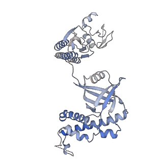 35965_8j3r_B_v1-0
Cryo-EM structure of the AsCas12f-HKRA-sgRNAS3-5v7-target DNA