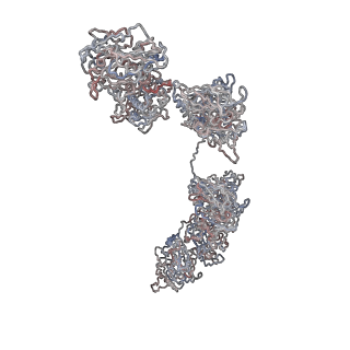 5586_3j32_A_v1-3
An asymmetric unit map from electron cryo-microscopy of Haliotis diversicolor molluscan hemocyanin isoform 1 (HdH1)