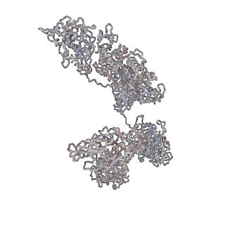 5586_3j32_B_v1-3
An asymmetric unit map from electron cryo-microscopy of Haliotis diversicolor molluscan hemocyanin isoform 1 (HdH1)