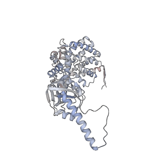 5645_3j3x_A_v1-3
Independent reconstruction of Mm-cpn cryo-EM density map from half dataset in the closed state (training map)